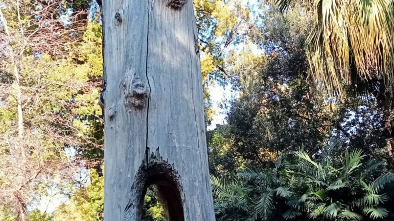 Jardín Botánico de Valencia